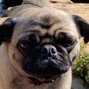 Meet your Posher, Emma